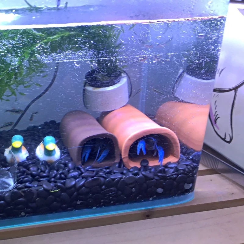 Refugio de cerámica para acuario, cueva de cría, decoración, tubo oculto para acuario, pecera, nido de camarones, adornos de cueva para casa
