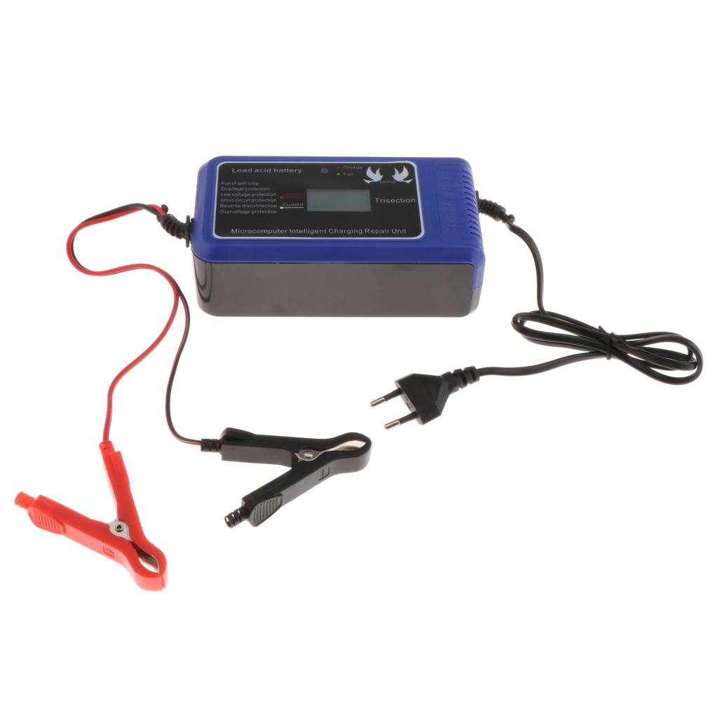 Chargeur de batterie intelligent pour moto, 12V, 10a