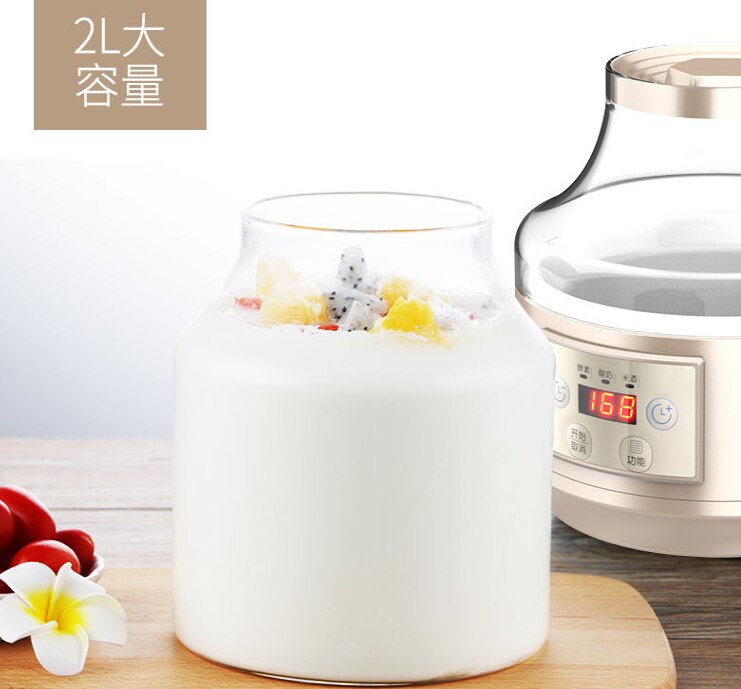 Macchina Yogurt chinahealthmaker 2L Domestici grande casa di