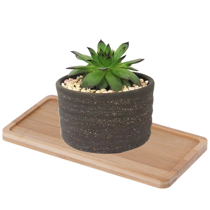 Rectangle Shape Bamboo Saucer Plant Tray Mini Plant Flower Pot Stand Favor Succulent Pot Tray Simple Home Balcony