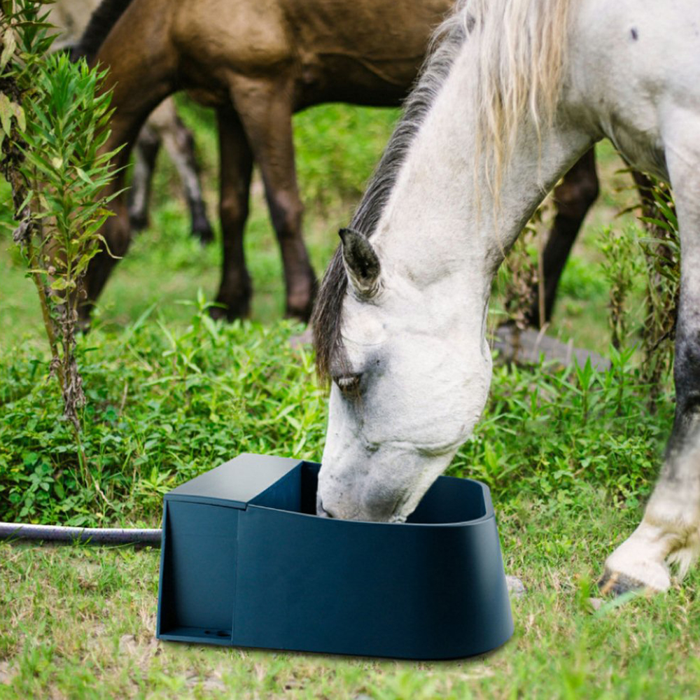 Automatisk drikkeskål flydeventil vand gennem gård fodringsapparat drikker skål springvand dispenser til hest får ko