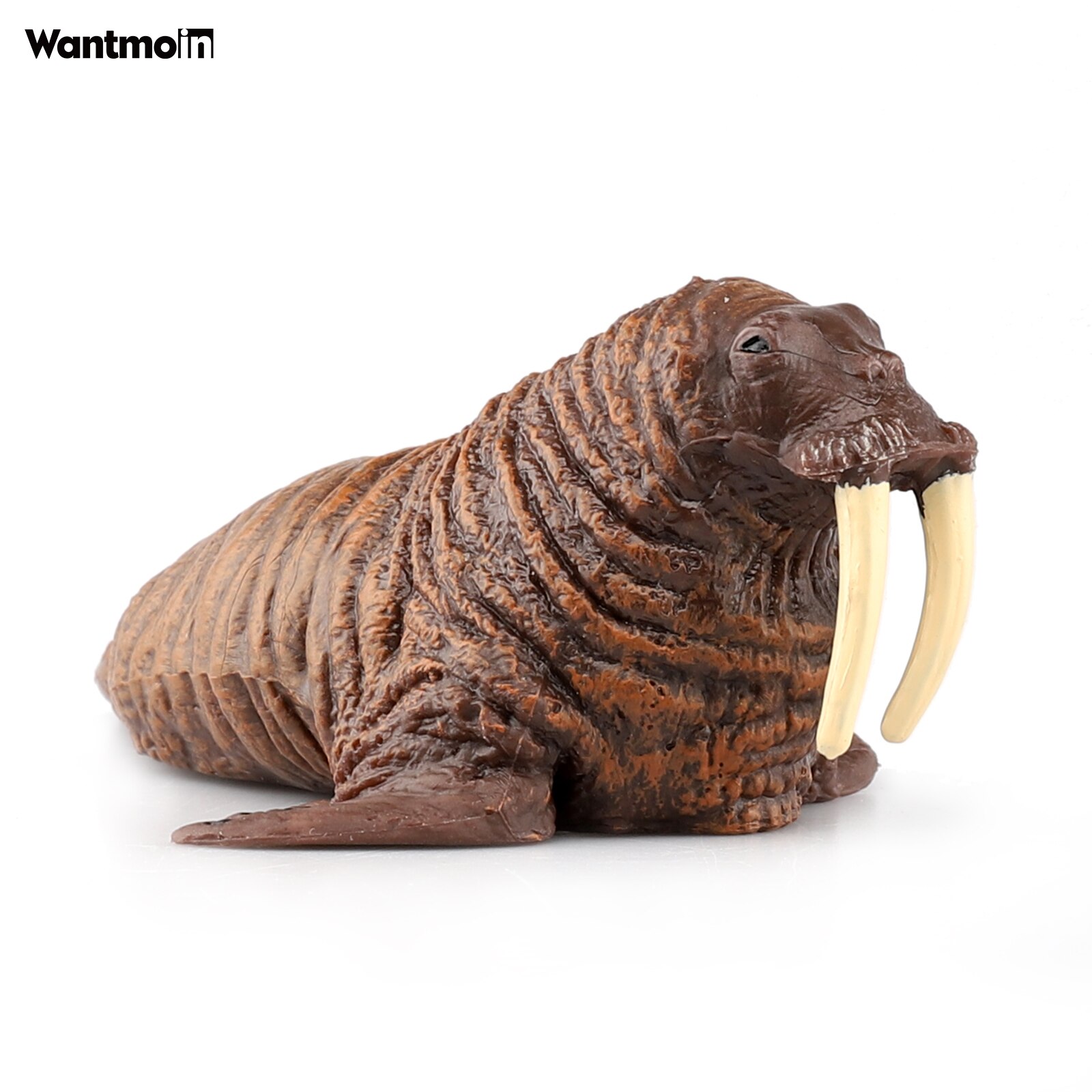 Wantmoin Polar Ocean Animals Simulation Walrus Manatee Sea Lion Seal Action Figures Sealife Marine Model Collection Static Toy