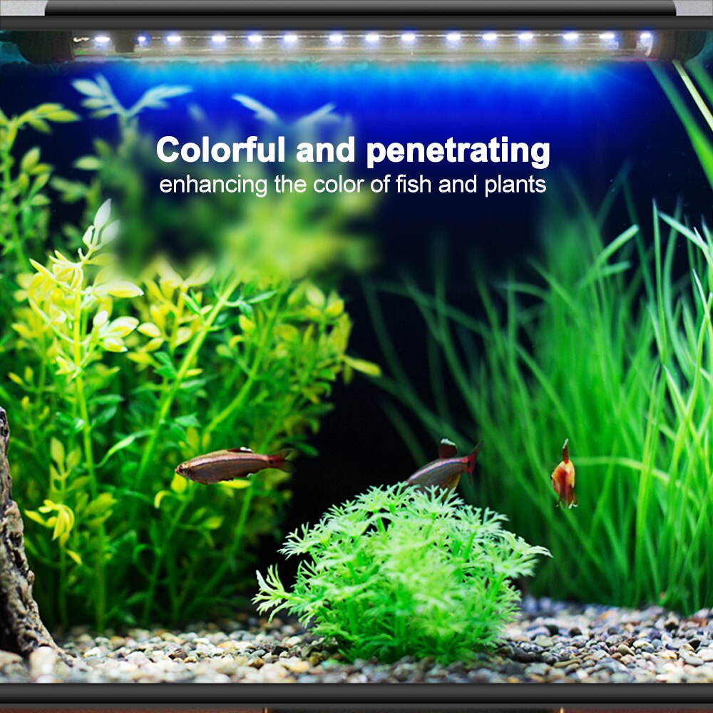 Aquário luz led à prova dwaterproof água tanque de peixes luz subaquática lâmpada de peixes aquários decoração iluminação planta lâmpada 19-49cm 220v energia da ue # t