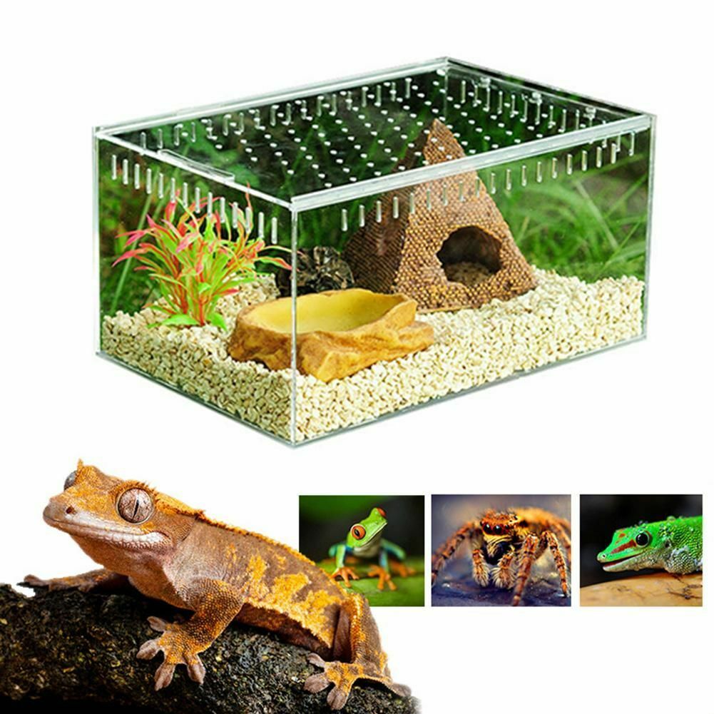 De plexiglás de acrílico terrario para reptiles Gecko serpiente, lagarto insecto araña vivero jaula TANQUE DE magnético tapa