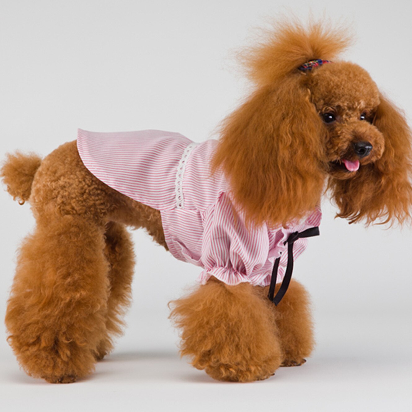 Chemises de luxe à rayures pour chiens et chats, vêtements pour petits chiens, rouge, bleu, à la , printemps été