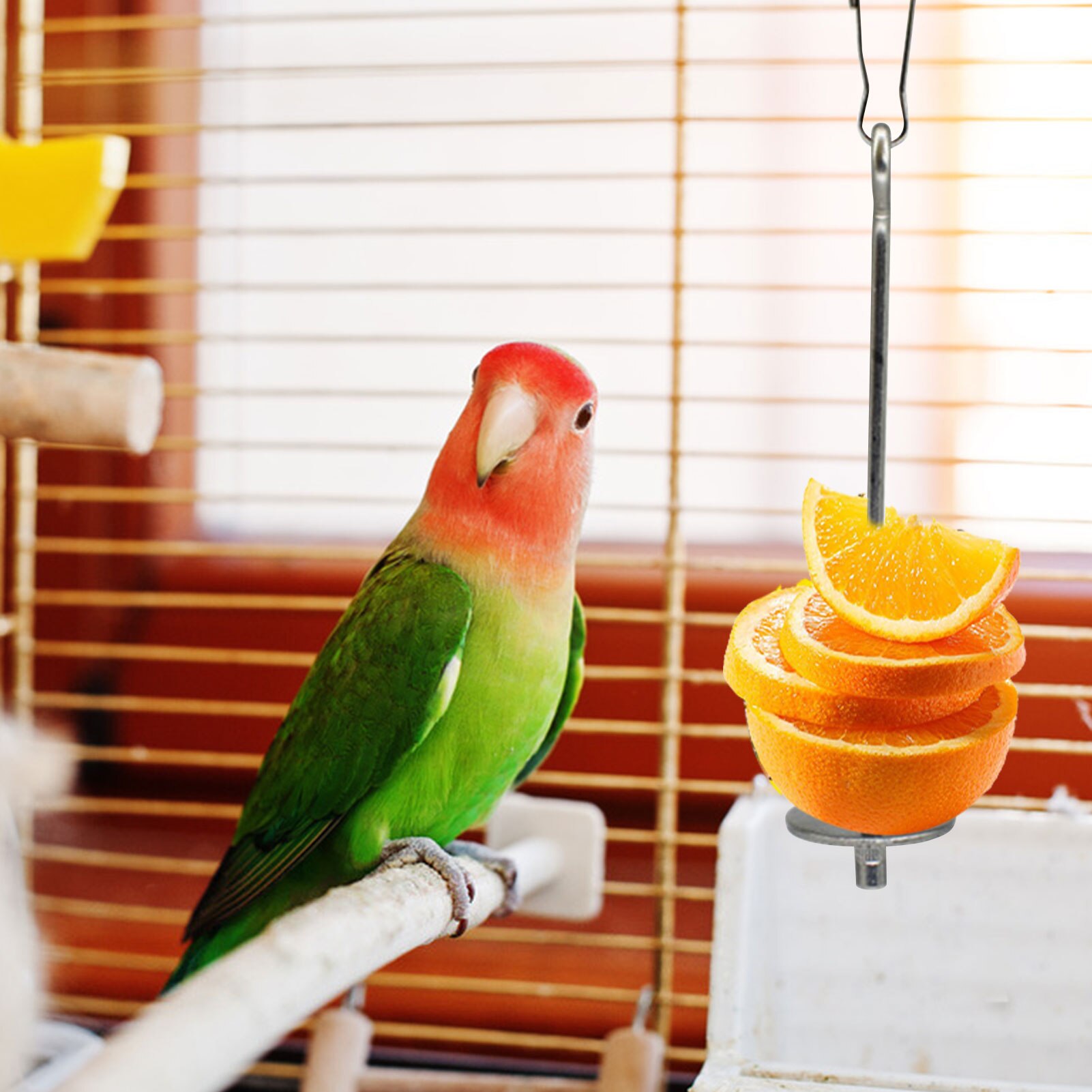 Tenedor de fruta de acero inoxidable para loros, soporte para loros, accesorio para jaula, gancho, suministros medianos y grandes para aves