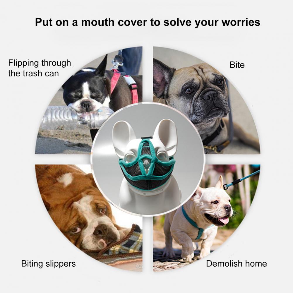 Mouth Mesh Durable Harmless Buckle Anti-Bite Pet Mouth Cover for Flat Face Dog Muzzle Pet Muzzle
