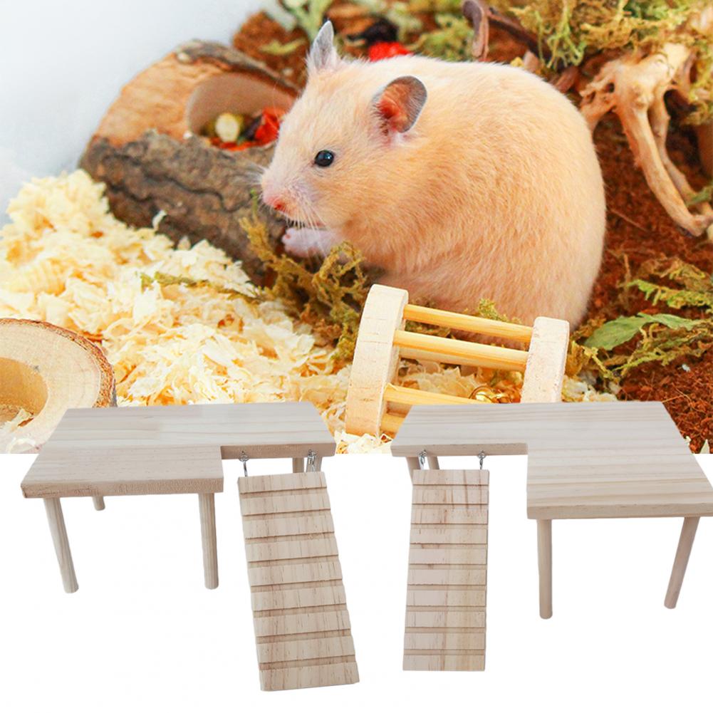 Prolee Hamsterkooi Houten 32 Inch Muizen en Rat Habitat Openbare Top Met Acryl Vellen Solid Built