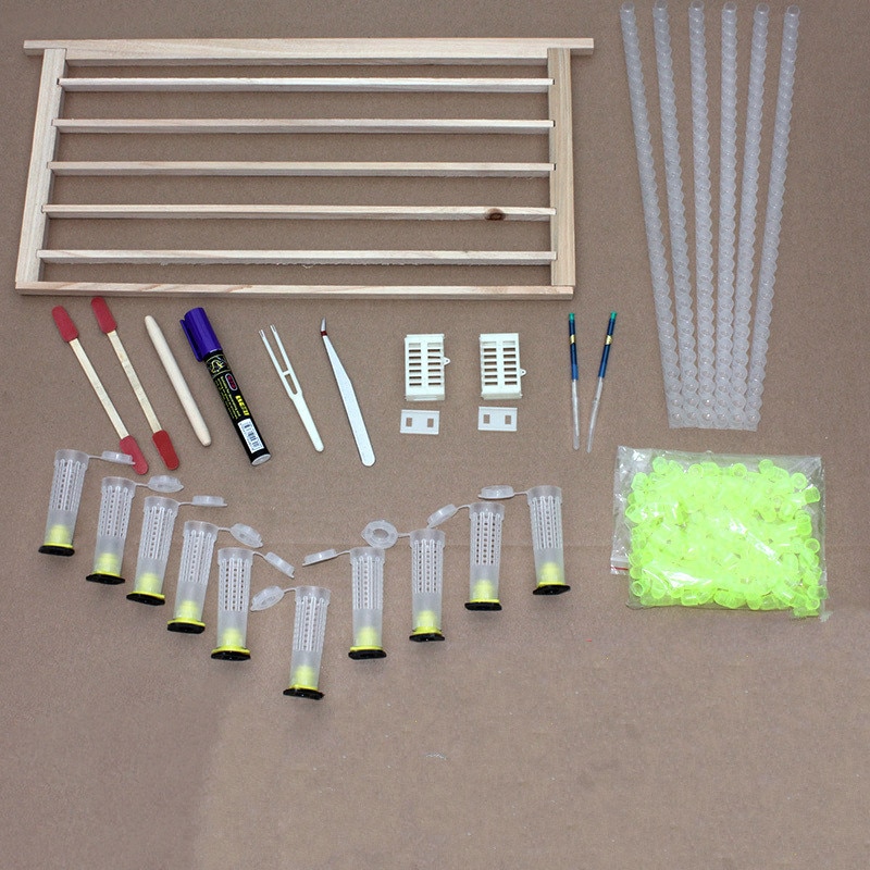 29bee reprodutor rei conjunto completo de ferramentas na abelha especial artificial apicultura caixa de polpa abelha rei vara de transferência insetos rei copo