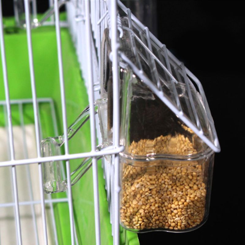 Parrot Bird Transparent Plastic Food Cup Bowl Company Clean Water Silo Waterer