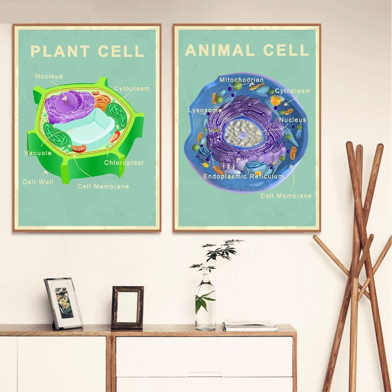 Animal and Plant Cell Biology Posters and Prints Science Educational Wall Art Painting Pictures Laboratory Office Decor