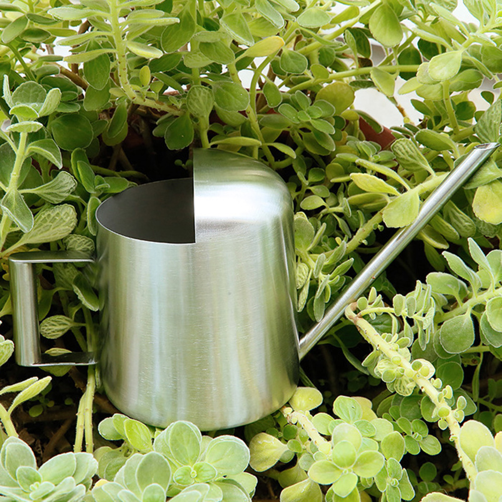 Tuingieters voor bloemen, metaal, 300ml kleine waterflessen, gemakkelijk te gebruiken handvat, perfect voor het water geven van planten, bloemen