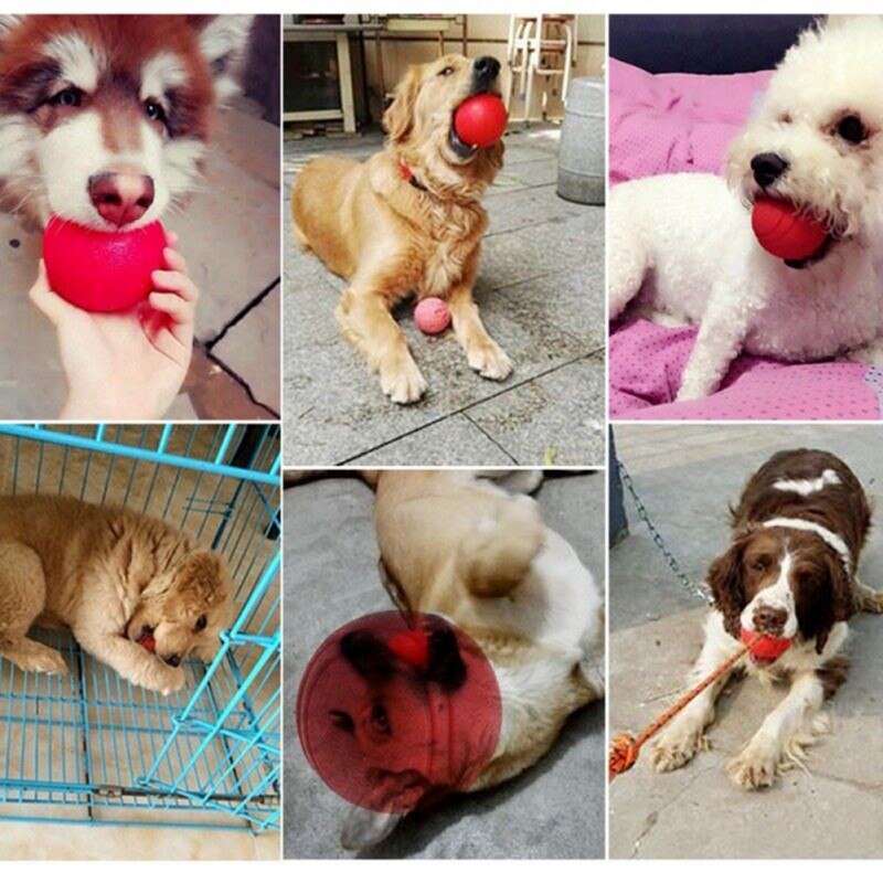 Dog Toy Rubber Ball Chew Toys Bite-resistant Dogs Puppy Teddy Pitbull Pet Supplies For Small Medium And Large Dogs