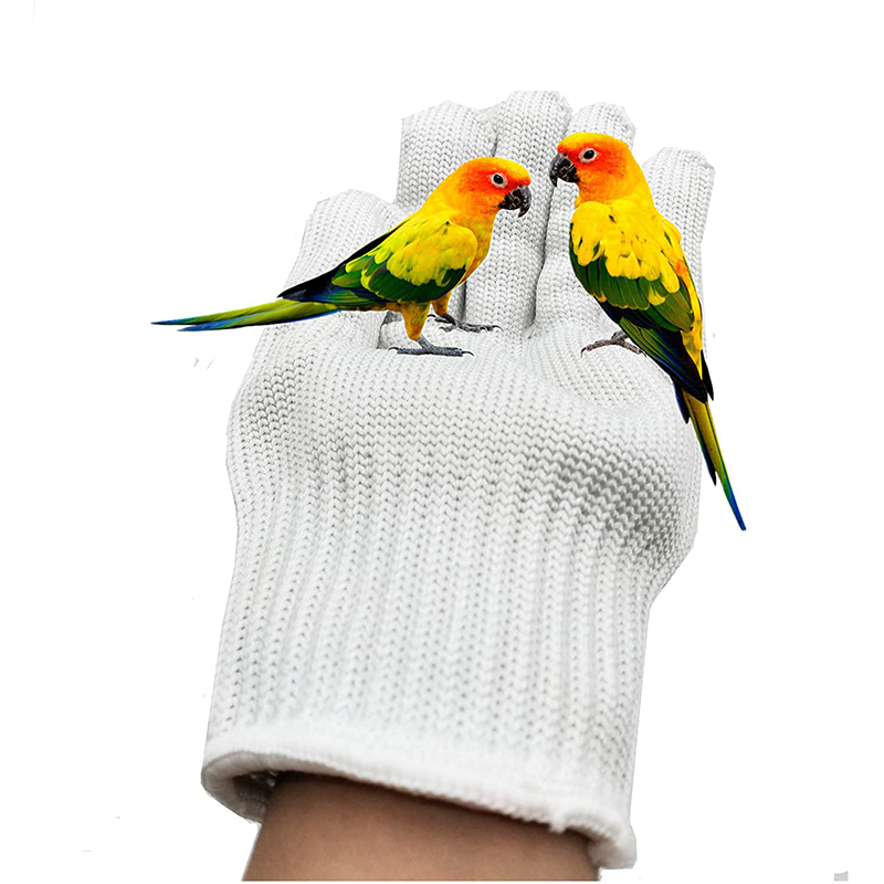 Guantes antimordeduras para entrenamiento de aves, protectores de seguridad para masticar loros, manejo de animales pequeños, para cacatúas