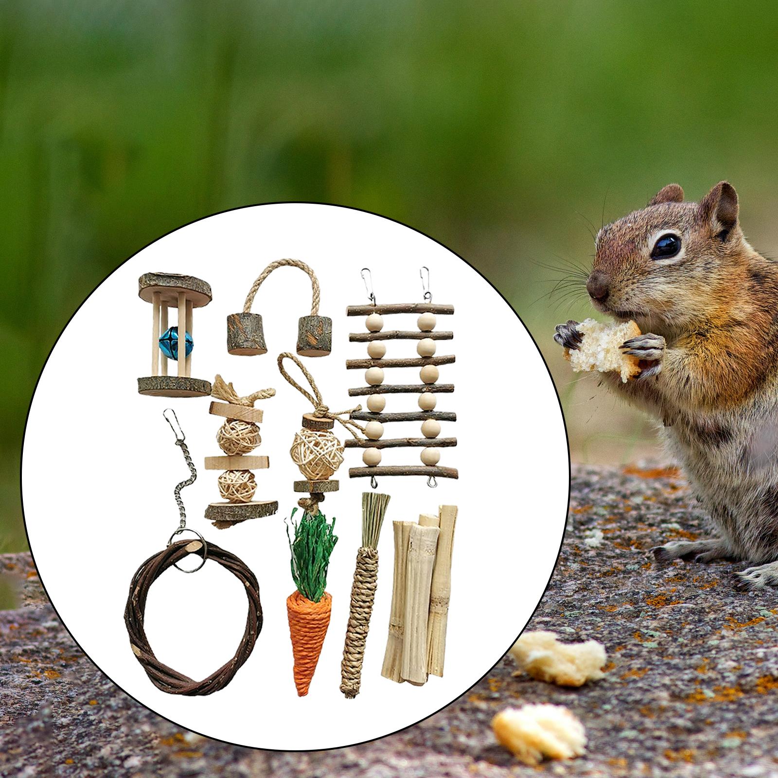 Hamster Rabbit Chew Toys Set Bite Grind Teeth Toys Guinea Pig Toys for Rabbit Rat Bunny Chinchillas Dwarf Hamsters Teeth Care: G