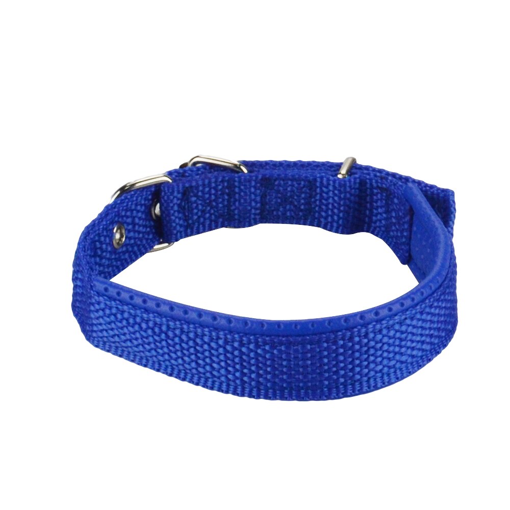 Mejor Collar para mascota de nailon de 2,5 cm de ancho para GPS rastreador de mascotas RF-V30/RF-V32/RF-V40 Collar ajustable Collar para gatos/perros