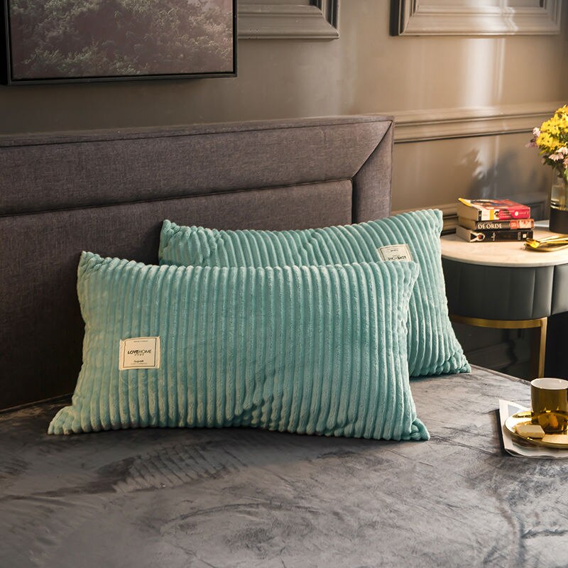 Zachte Warme Kussenslopen Dikker Coral Fleece Kussensloop 2 Stuks 48*74Cm Opgevulde Home Decor Winter Slapen kussensloop: Mint Blue