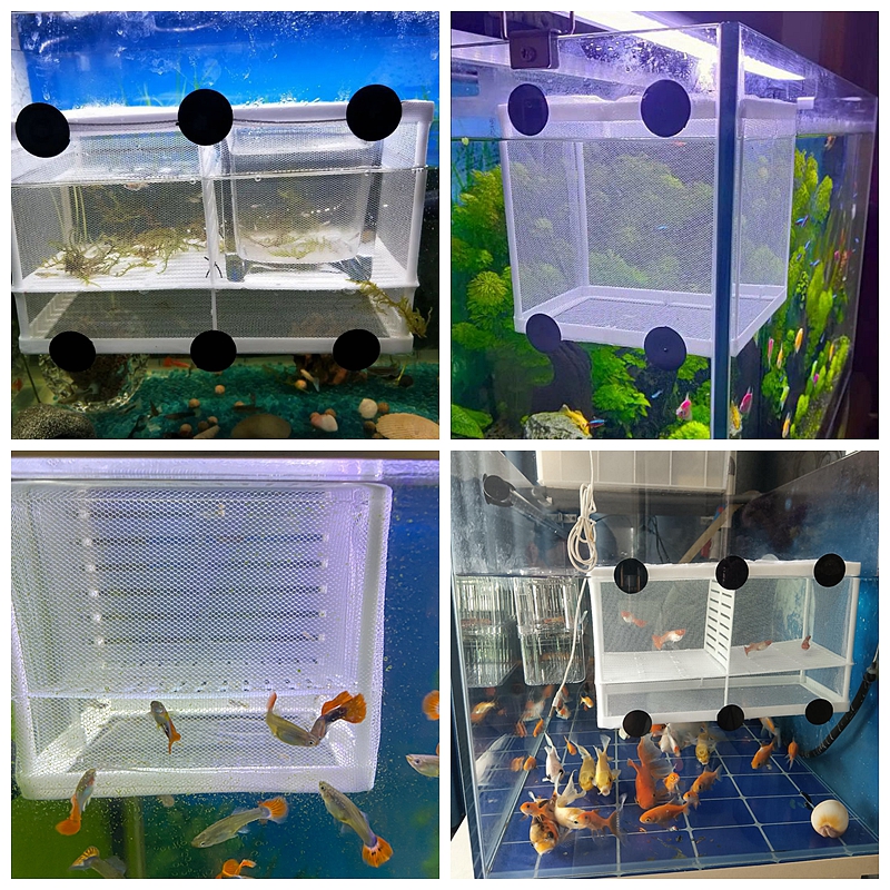 1 Pc Aquarium Fish Breeding Breeder Box Baby Fish Hatchery Isolation Net Fish Tank Incubator Box Hanging Aquarium Accessories