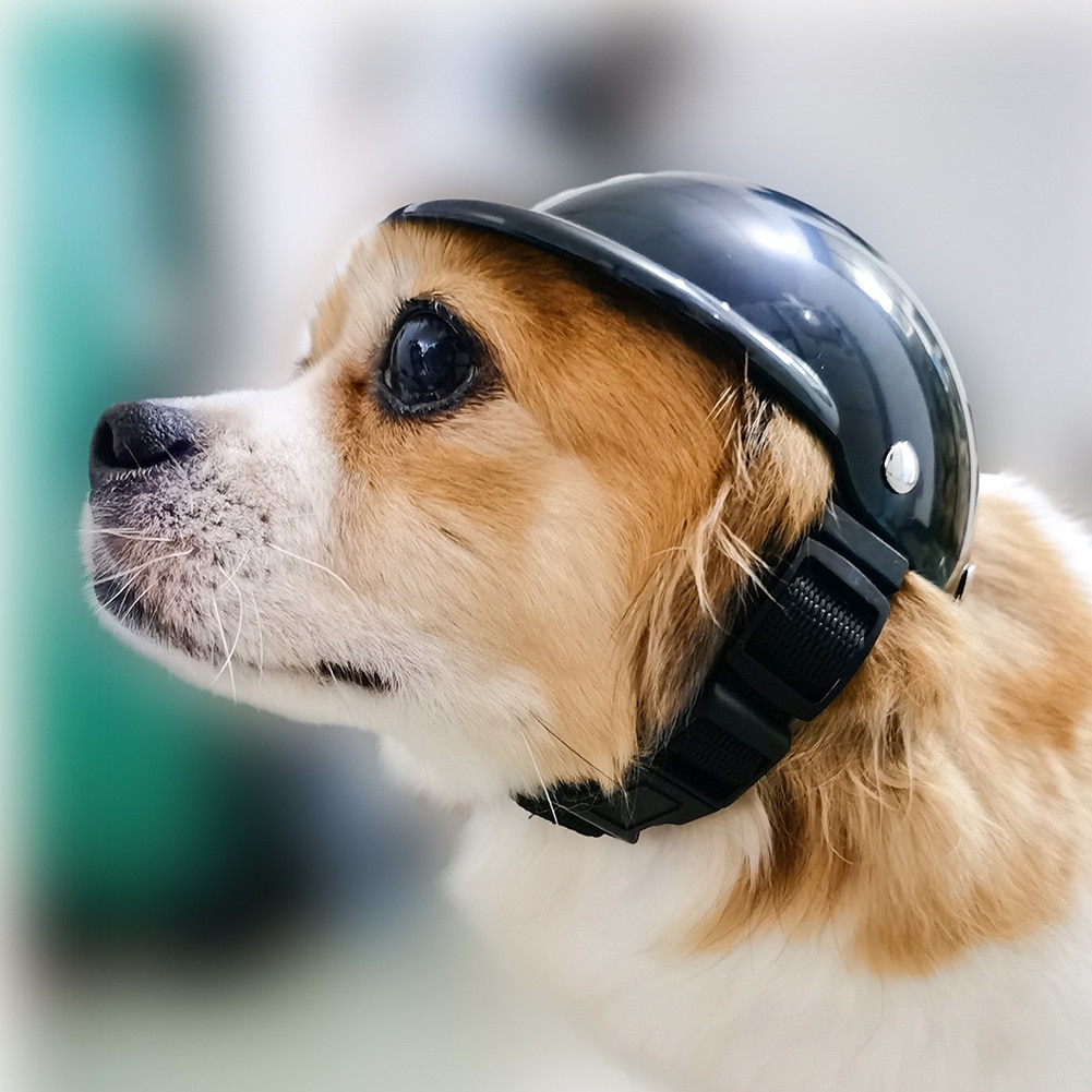 Hond Helm Pc Zon Regen Bescherming Hond Helm Voor Motorfiets Verstelbare Riem