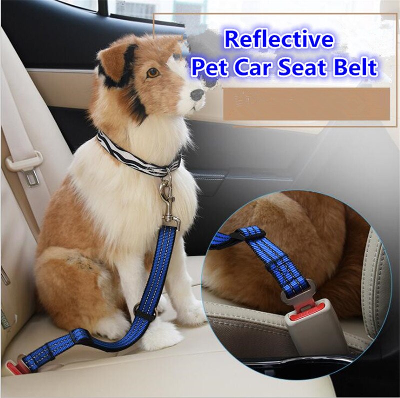 B43 reflecterende pet seat riem nylon hond trekkabel houden huisdier veiligheid in auto hond autogordels