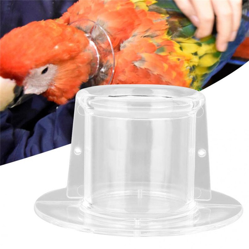 Fugle beskyttende perle papegøjer krave anti fjer plukke ring anti-grab anti-plukning kraver elizabethansk krave til fugl