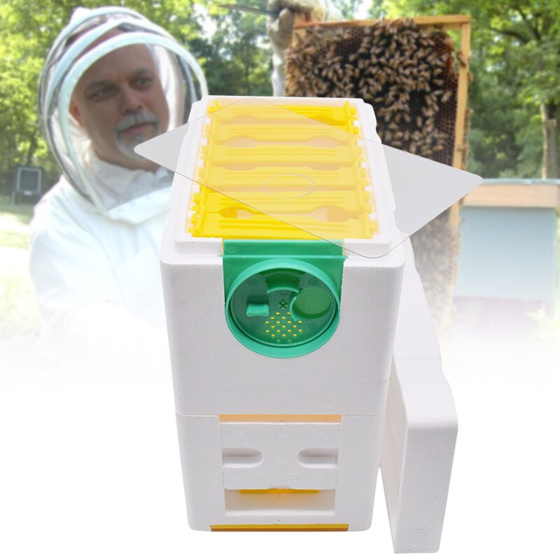 Biavl dronning avl opdræt boks biavl forsyninger bihøst bikube skum dobbeltlag hogard