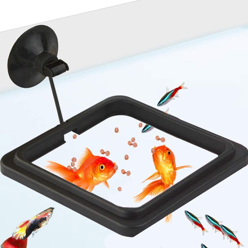 Aquarium Fütterung Ring Fischfutter Auftrieb Ring Schwimm Tablett Fisch Zubringer Platz/Kreis Mit Saugnapf Aquarium Zubehör