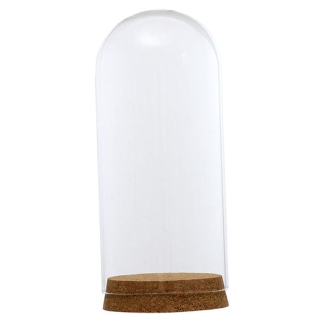 Glas Kuppel Cloche Abdeckung Holz Kork Basis Microlandscape Halfter Glocke Krug Für DIY Blume Pflanzen Vase Tisch Ornamente Hause Dekoration: 8x18cm