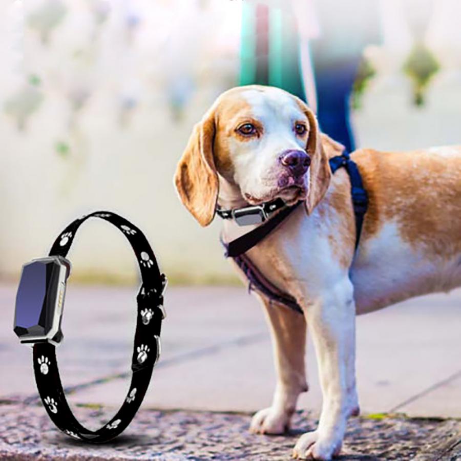 Bärbar gps husdjur valp gps 365 bluetooth wifi realtids spårning plats anti-förlorad halsband
