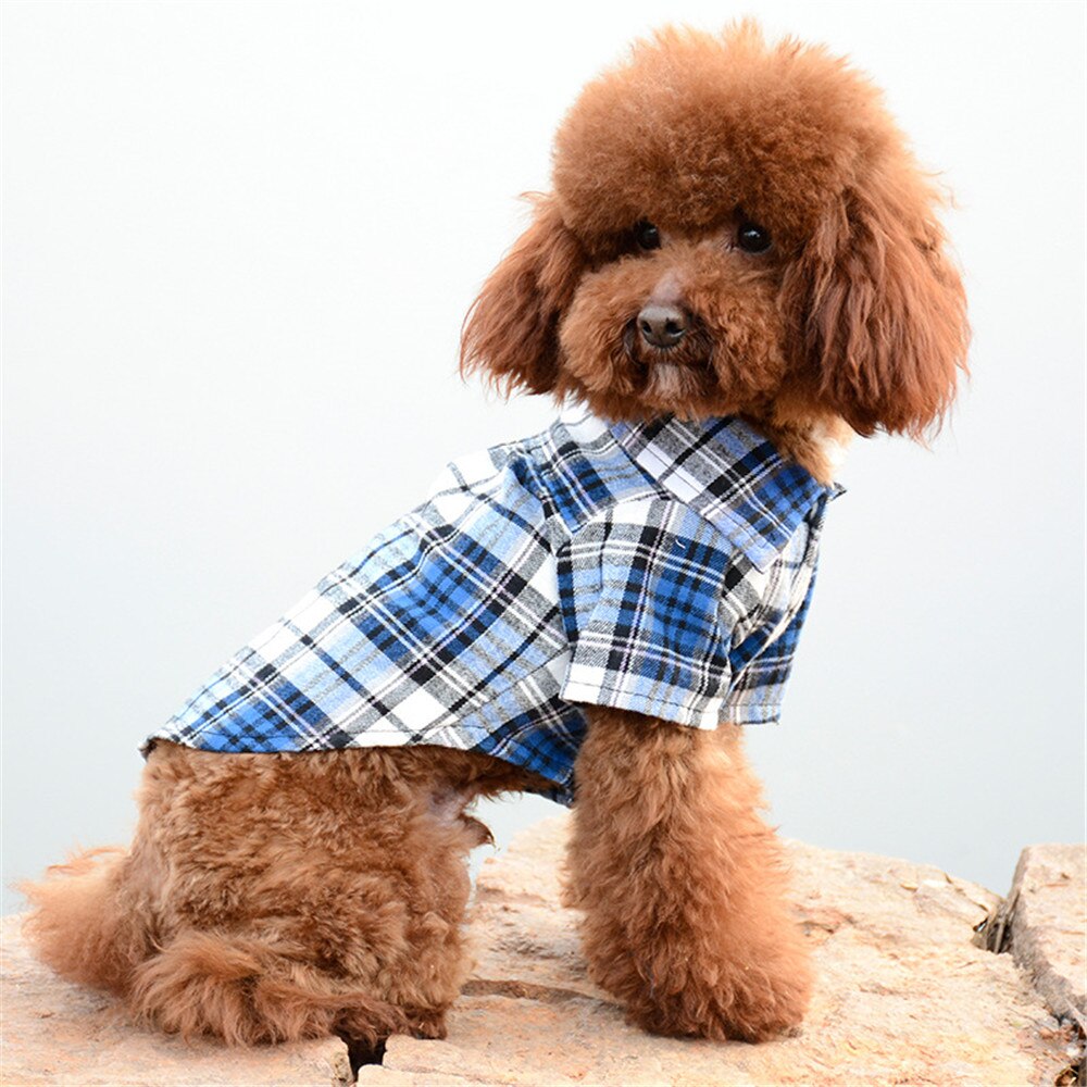 Oimg Samll Honden Kleding Klassieke Hond Blouse Zachte Katoen Huisdier Plaid Shirts Tops Lente Herfst Pug Teddy Teckel Huisdier Kleding: Blue / XL