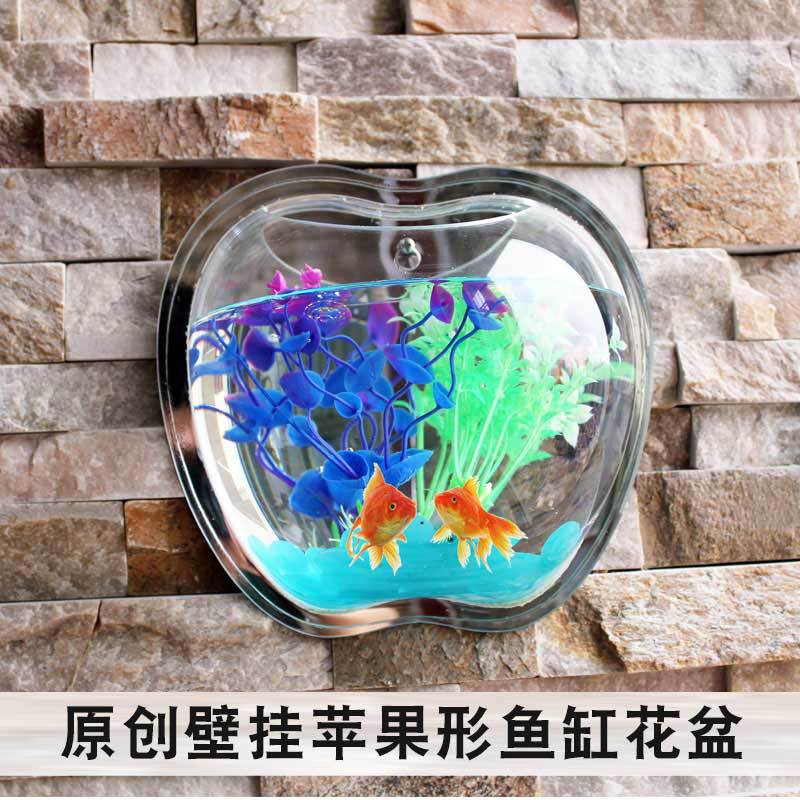 Mini acuario colgante de pared para interior, , ecológico, pared de salón, acrílico Escritorio, pecera dorada