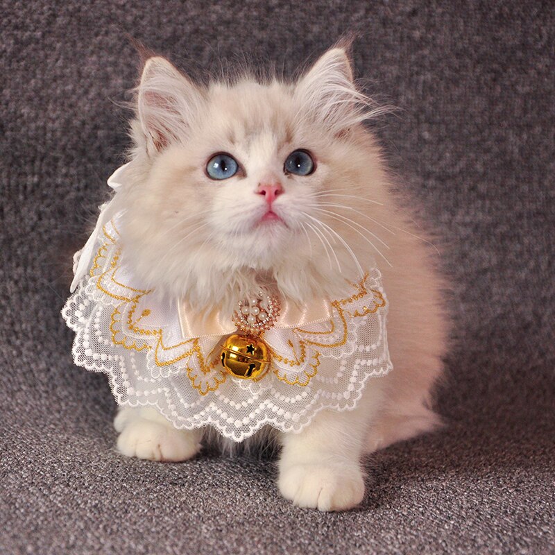 Charmy Cinta de Oro gato Baberos dulce gatito Collar de perro, Collar de Bell bufanda para perro accesorios lindo correa para el cuello perrito Yorkie de trapo