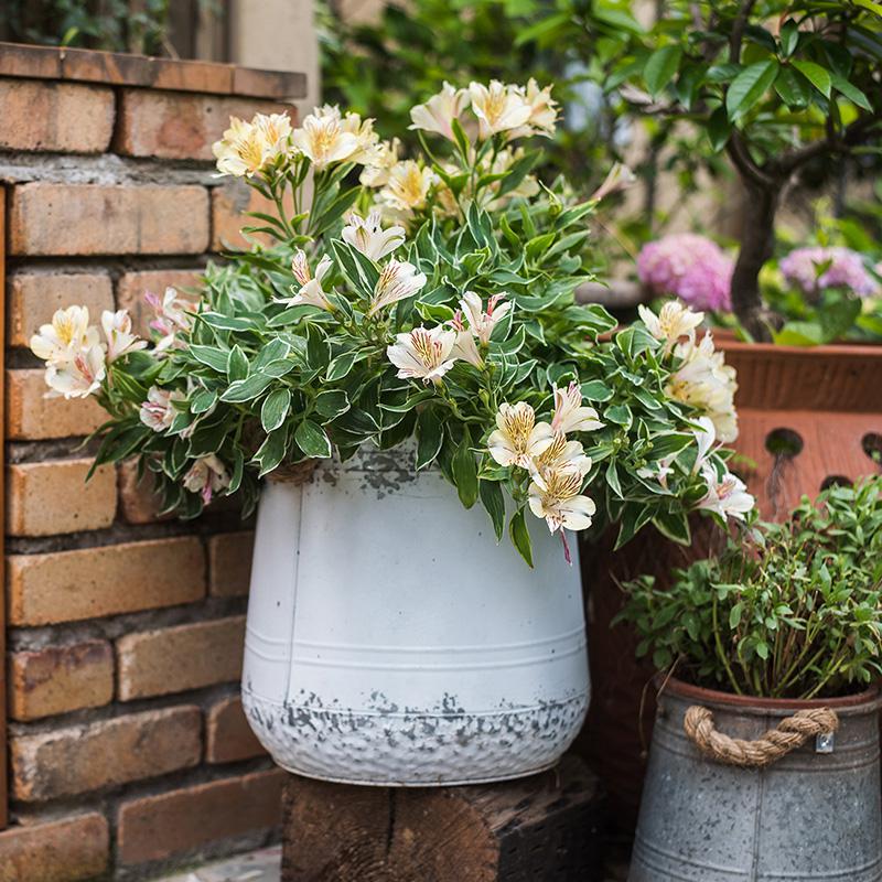 Vintage oude ijzeren emmer emmer bloem emmer bloempot vaas decoratie ornamenten kruidenierswinkel tuin