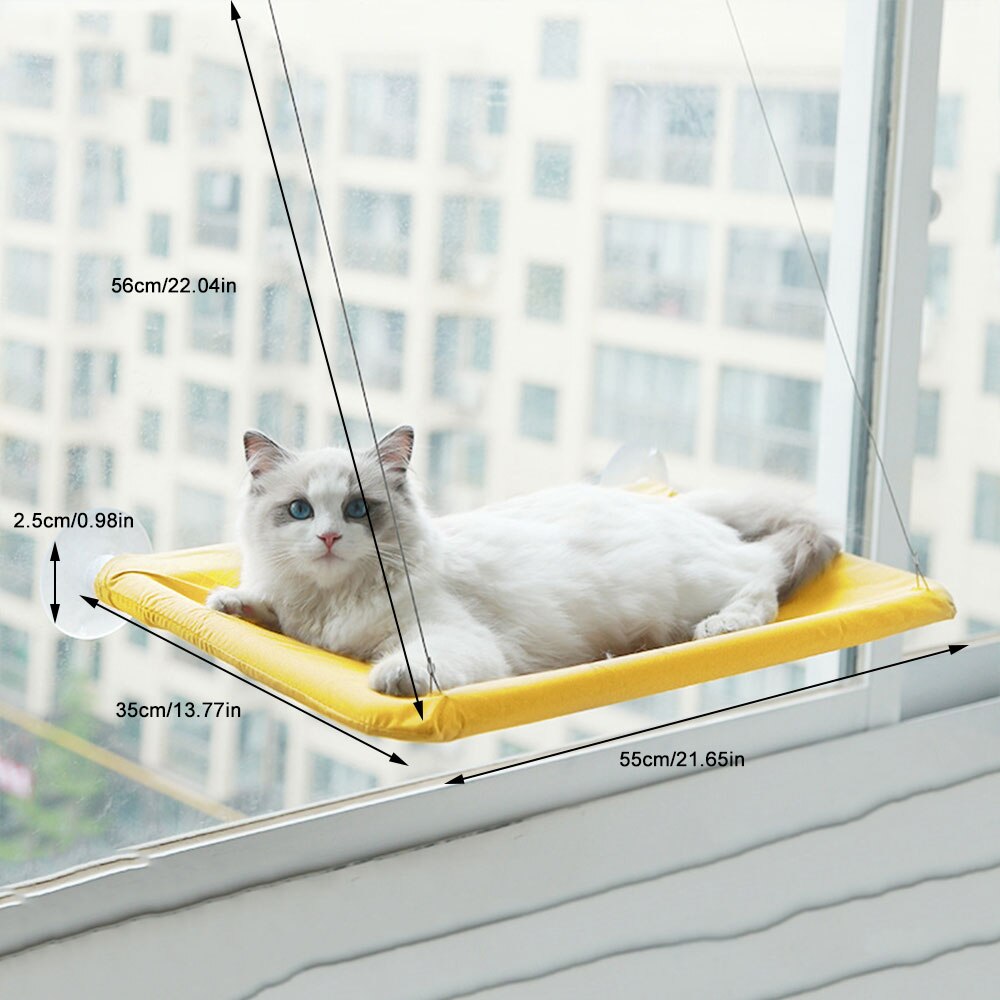 Hamac d&#39;intérieur avec fenêtre pour chat, siège solaire à 360 °, support de repos amovible, étagère permettant de gagner de l&#39;espace, lit pour chat, jusqu&#39;à 38lb: C