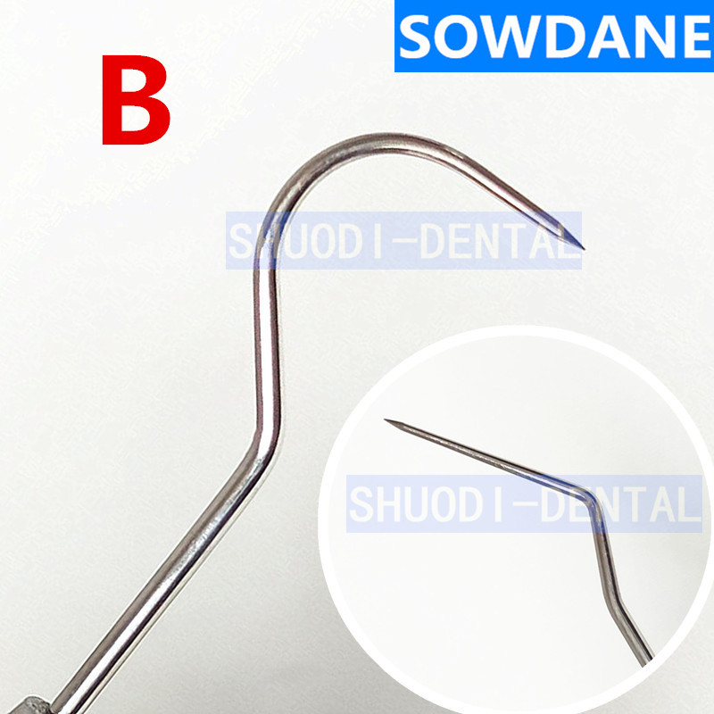 Tandheelkundige DG16 Probe Dental Rvs Parodontale Sonde Explorer Tandarts Endodontische Instrument Tool: 1 piece B