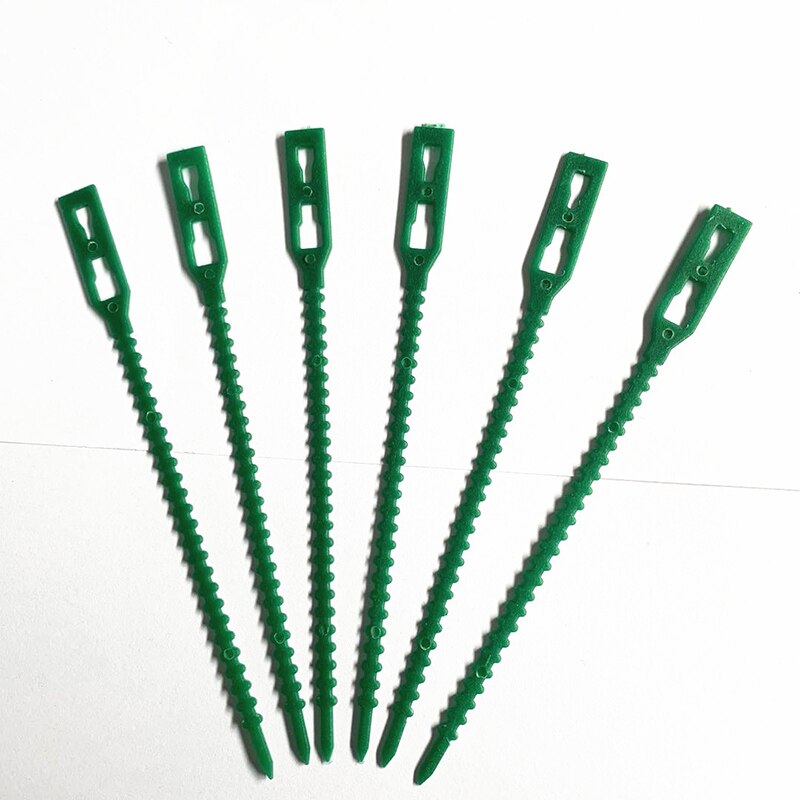 Tree Ties Adjustable Plant Ties Garden Ties Flexible Plant Cable Ties for Supporting Rose Shrub Plants Tree Strapping 50/100pcs