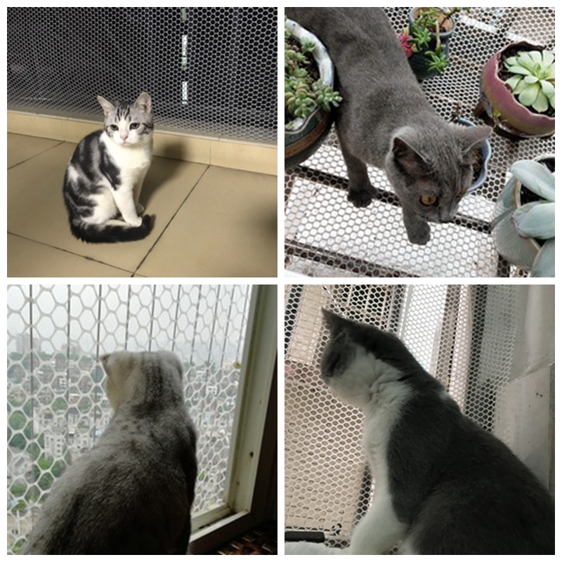 Net Thuis Balkon Beschermende Netto Anti-Val Hek Raam Kloof Kinderen Stealth Plastic Netto Trappen Veiligheid Netto Fruit boom Netto