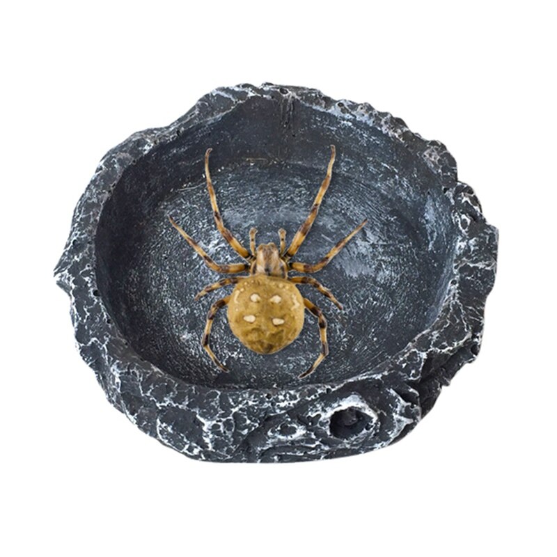 Kravle kæledyr foder skål kumme harpiks ugiftig mad vand potte krybdyr skildpadde skildpadde skorpion firben krabber akvarie tilbehør