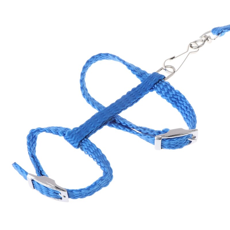 Arnés para erizo ajustable para entrenamiento juego cuerda de tracción para mascotas