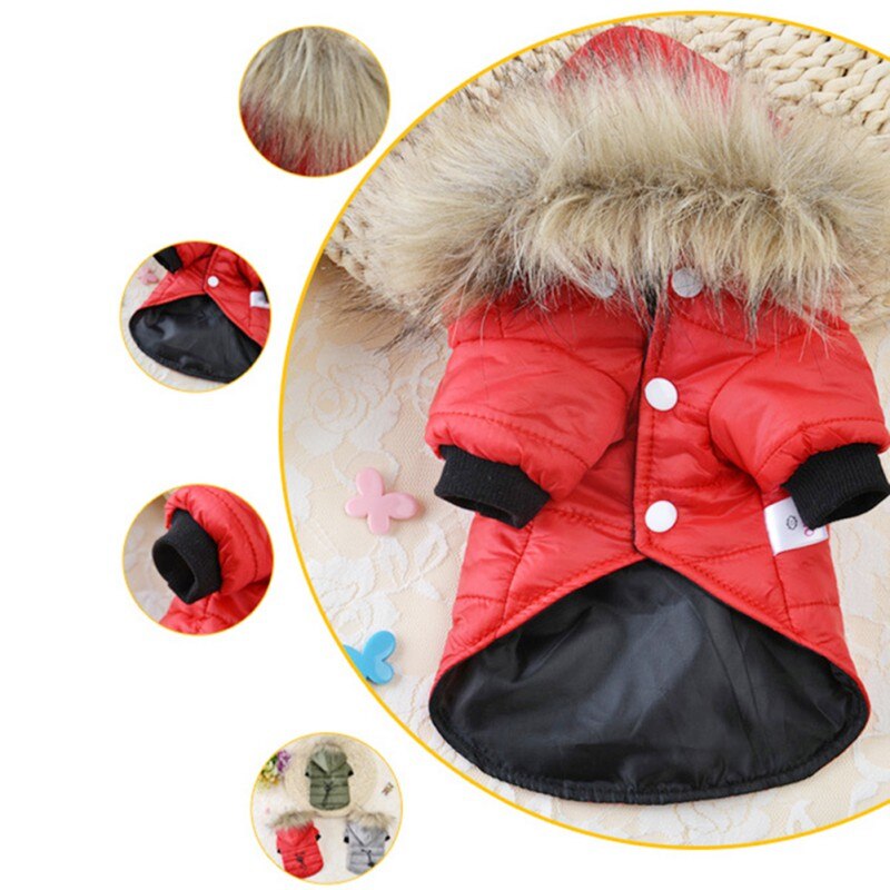 PAIDEFUL Waterdichte winterjas met capuchon voor kleine honden