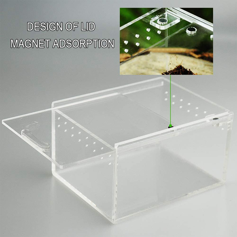 Transparante Reptiel Acryl Fokken Doos Amfibie Terrarium Schildpad Tank Scorpion Hagedissen Roach Ongewervelden Insect Mantis