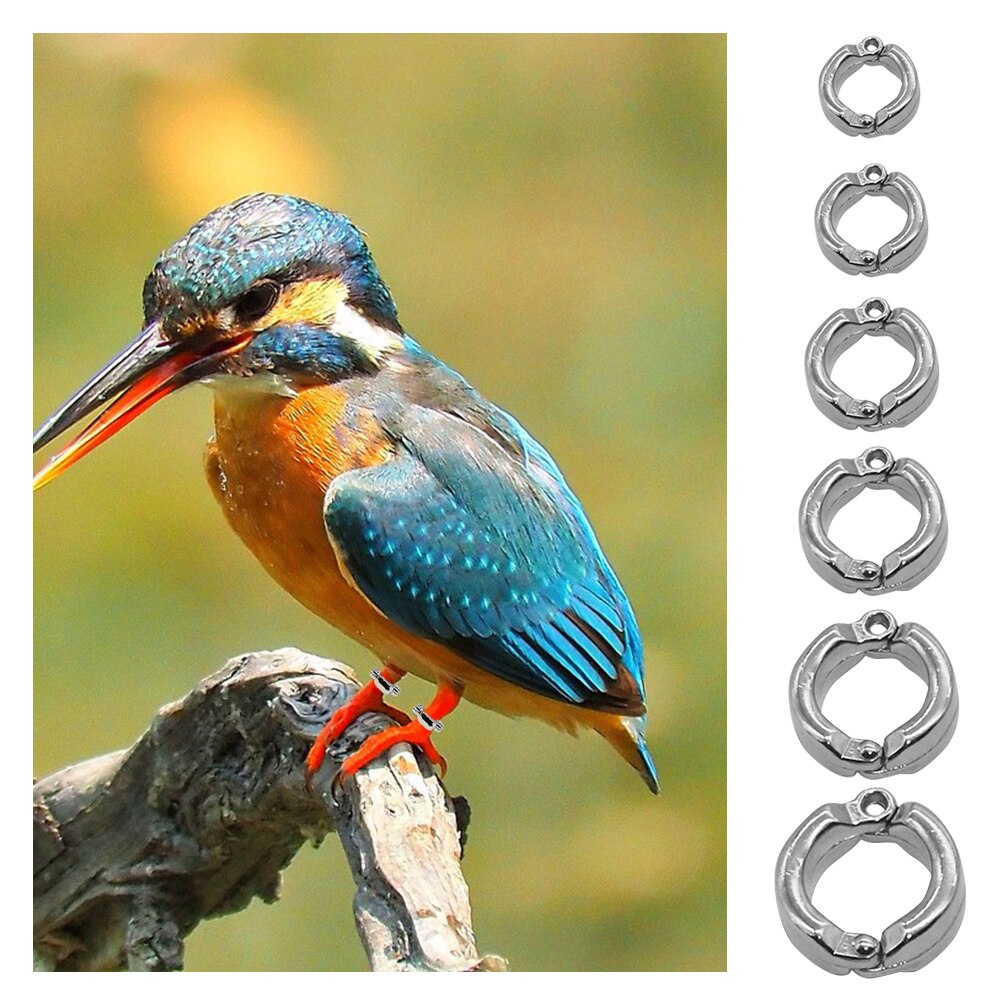 Bird Foot Ring Outdoor Flight Training Tool Plastic Clip Ring Pigeon Dove Quail Foot Ring Competition Identification Label