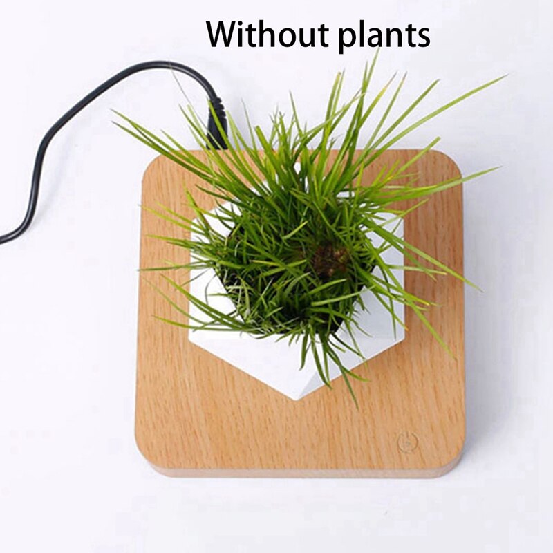 Lévitation magnétique plante planteur Pots succulents plante bureau ornements décor à la maison lévitation d'air bonsaï Pot nous Plug