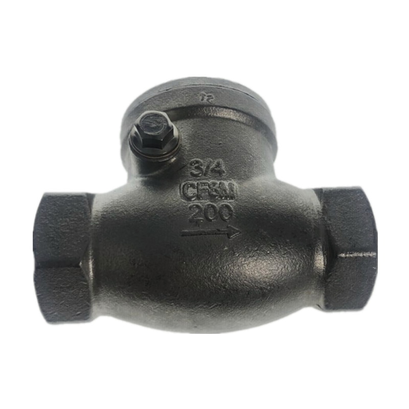 WZJG BSPT 1-1/2" DN40 PN16 CF8M Threaded Swing Check Valve 200PSI Stainless Steel SS304 Female Check Valve