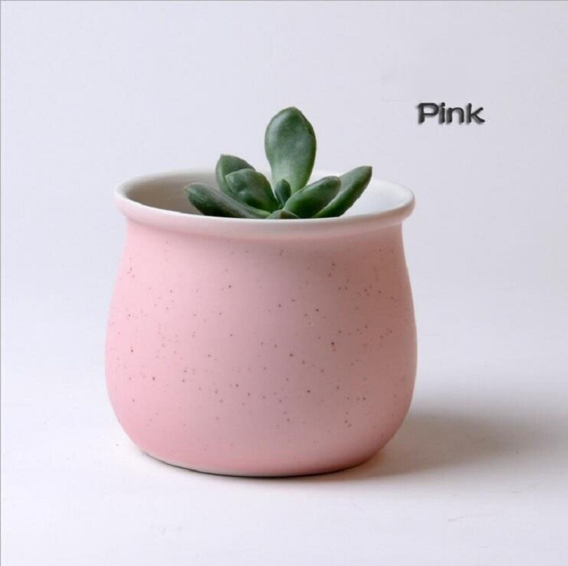 TECHOME-maceta de plantas Multicolor, macarrón de cerámica de alta temperatura, macetas suculentas para flores, decoración de escritorio para el hogar y la Oficina