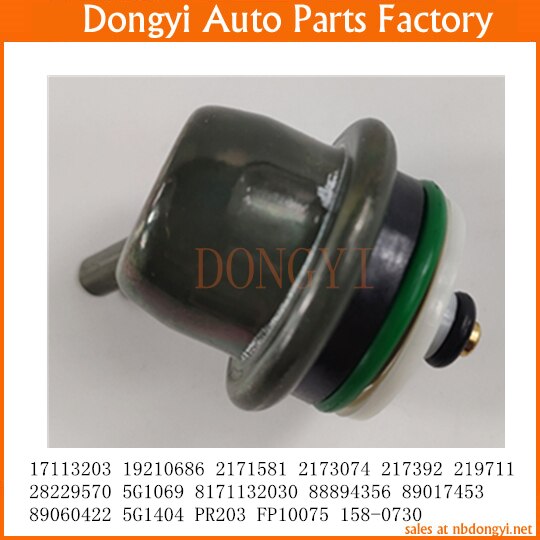 Fuel Injection Pressure Regulator OEM No. 17113203 19210686 2171581 2173074 217392 219711 28229570 5G1069 8171132030 88894356