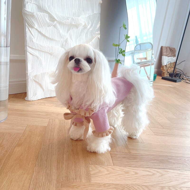 Costume per cani di piccola taglia moda carino abbigliamento per cani abbigliamento per cani cappotto per maglione gatto Chihuahua York pomerania Shih Tzu cucciolo di barboncino malese abbigliamento
