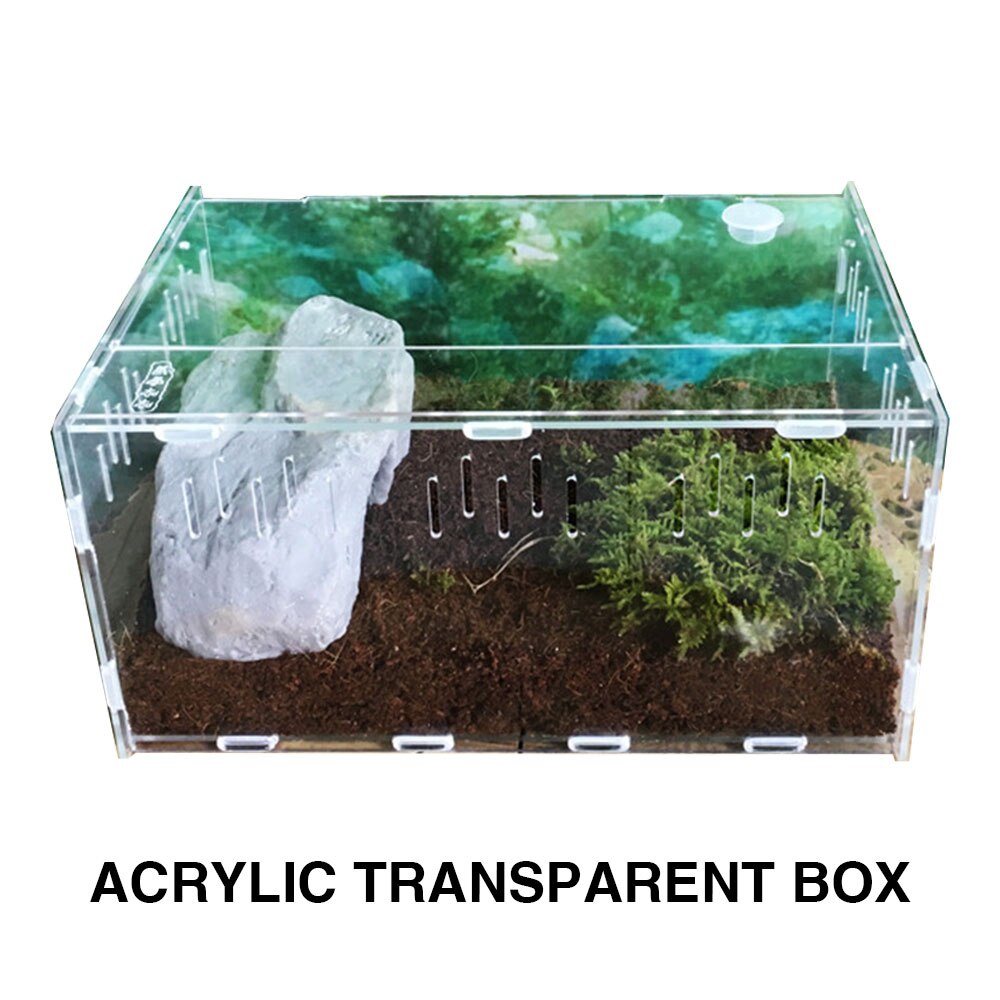 Pet Hom Reptile Box Cold Blooded Animals Breeding Stackable Animal Transportation Incubating Gecko Lizard Practical Reptile