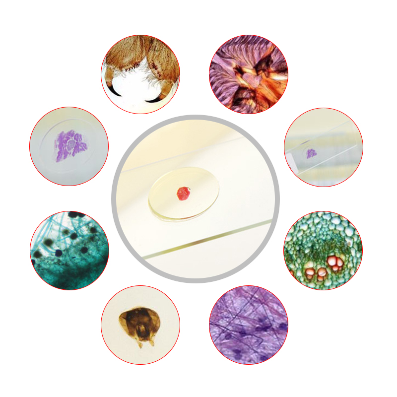 100Pcs/Set Prepared Microscope Glass Slides Sample Science Biological Specimen Education Cover Slips Portable Wood Storage Box