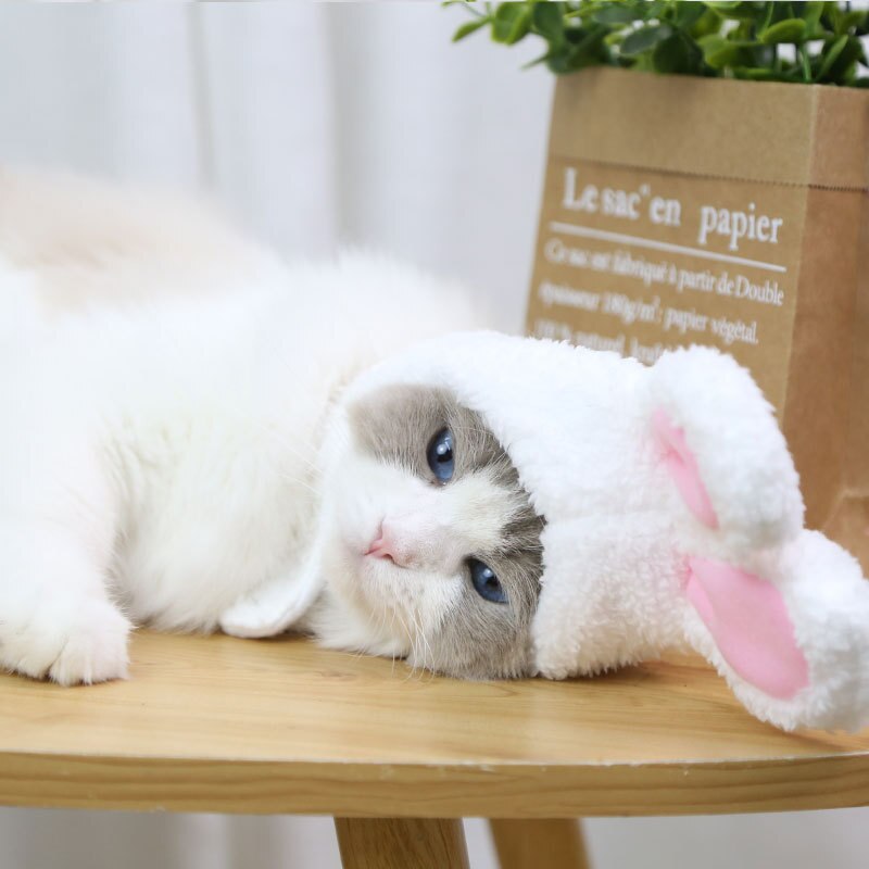 Funny Pet Dog Cat Hat Bandana Cute Rabbit Hat For Dogs Cats NewYear Party Christmas Cosplay Pet Accessories Props Headwear